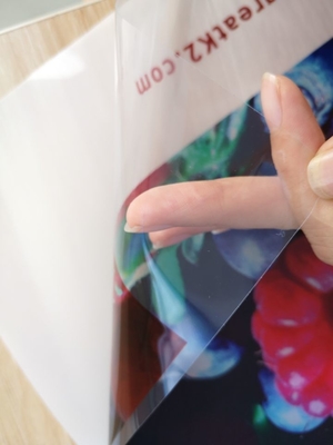 Matte Self Adhesive Transparent Window Vinyl Digital Printing Decorative